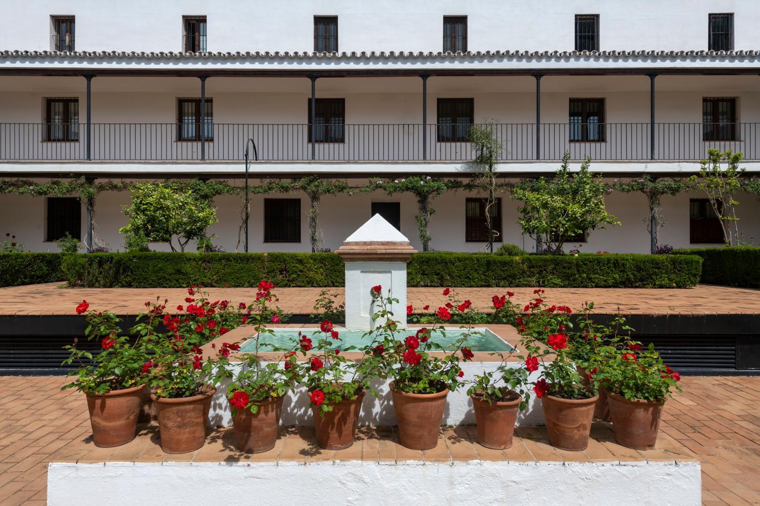 Magno Apartments San Laureano - Private Parking Included Siviglia Esterno foto