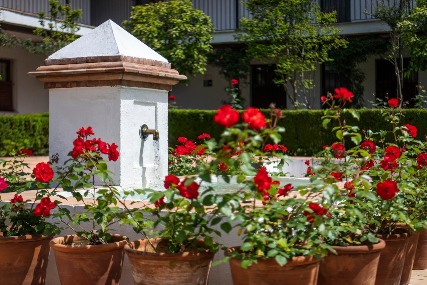 Magno Apartments San Laureano - Private Parking Included Siviglia Esterno foto